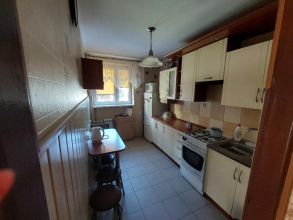 Mieszkanie do wynajęcia