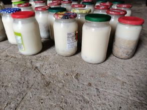 Świeży smalec ekologiczny