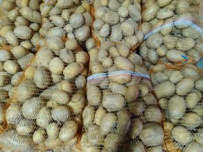 Ziemniaki z własnej uprawy