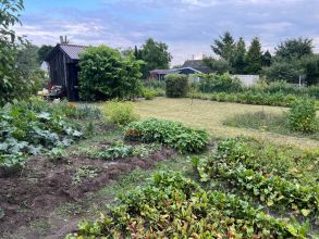 Działka rod źródełko