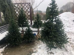 Choinki sztuczne