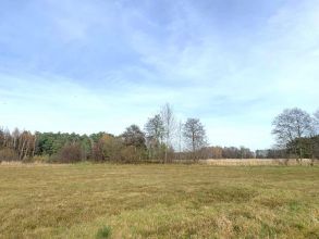 Działka budowlana w Rogowie na sprzedaż