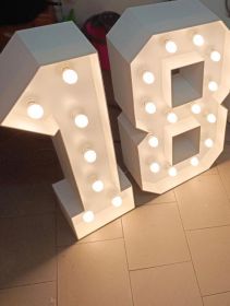 Wynajmę cyfrę 18 led