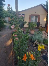 Sprzedam działkę ROD Włókniarz