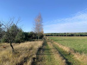 Działki budowlane na sprzedaż OLIMPIA gm. BRUDZEW