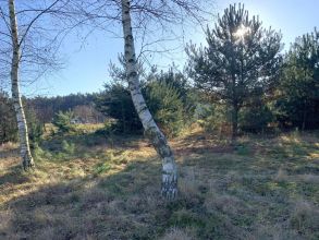 Działki budowlane na sprzedaż OLIMPIA gm. BRUDZEW