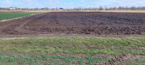 Szerokie działki rolne 4,34 ha Brudzew