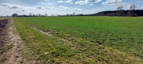 Szerokie działki rolne 4,34 ha Brudzew