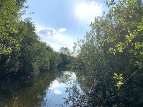 Siedlisko na sprzedaż - gm Grodziec