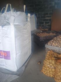 Ziemniaki do pasenia