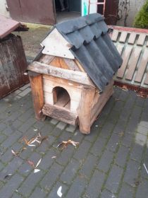 Buda dla małego psa !