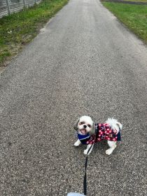 Oddam za koszt utrzymania