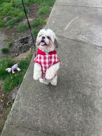 Oddam za koszt utrzymania