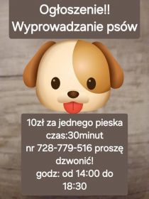 Wyprowadzanie piesków