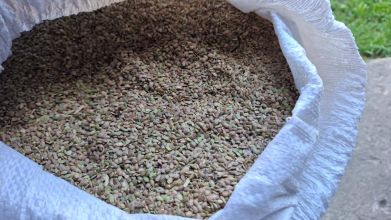 Seradela saladera saradela