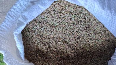 Seradela saladera saradela