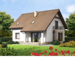 Dom na sprzedaż Turek Obrzębin