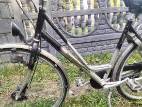 Rower Koga holenderski