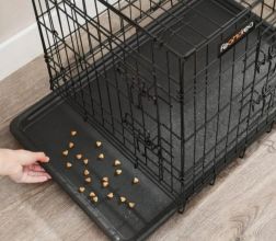 Klatka dla zwierząt