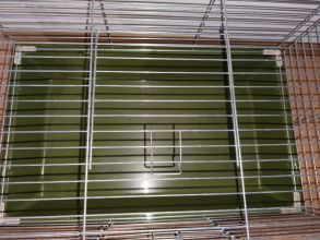 Klatka dla świnki morskiej/królika 80 cm