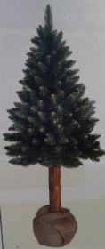 Choinka na pniu