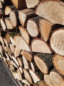 Drewno kominkowe