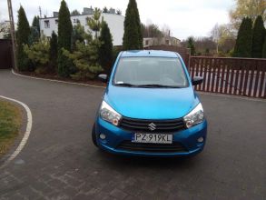 Suzuki celerio
