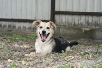 Daj Bryziowi szansę… On odda Ci całą miłość,...