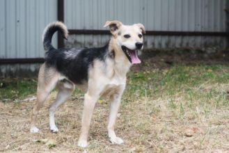 Daj Bryziowi szansę… On odda Ci całą miłość,...