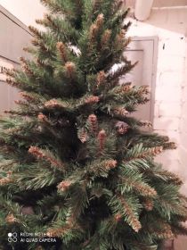 Sprzedam dużą choinkę.