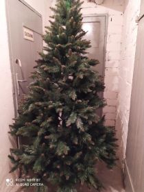 Sprzedam dużą choinkę.