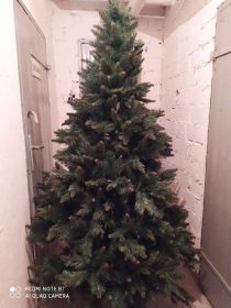 Sprzedam dużą choinkę.