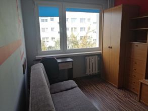 Najem okazjonalny długoterminowy