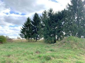 NOWA CENA - dom na sprzedaż skarżyn