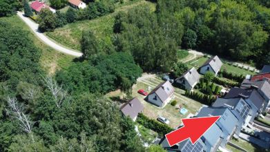 Segment w ścianie lasu tuż przy granicy m. Turku!