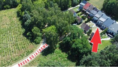 Segment w ścianie lasu tuż przy granicy m. Turku!