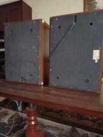 Kolumny telefunken L 250