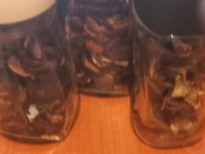 Sprzedam grzyby suszone