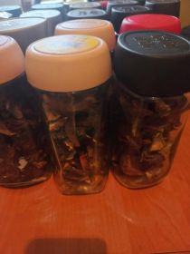 Sprzedam grzyby suszone