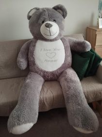 Sprzedam misia widocznego na zdjęciu