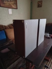 Kolumny telefunken L 250