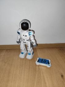 Tech-Bot, robot multifunkcyjny zdalnie sterowany
