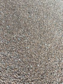 Sprzedam pszenicę ozimą