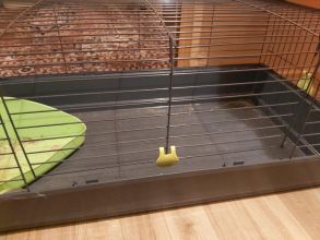 Klatka dla królika lub innego większego gryzonia