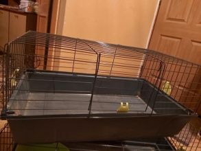 Klatka dla królika lub innego większego gryzonia