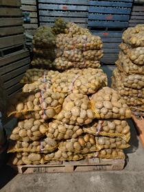 Ziemniaki jadalne możliwy transport