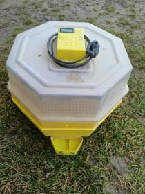 Sprzedam inkubator Cleo 5