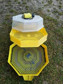 Sprzedam inkubator Cleo 5