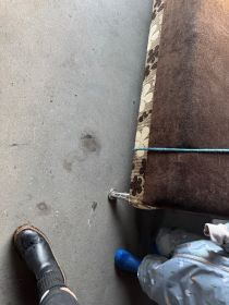 Sofa z funkcją spania