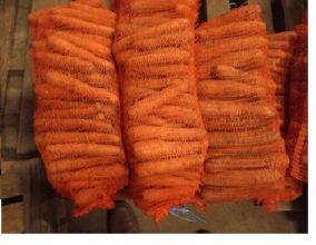 Marchew jadalna oraz dla zwierząt